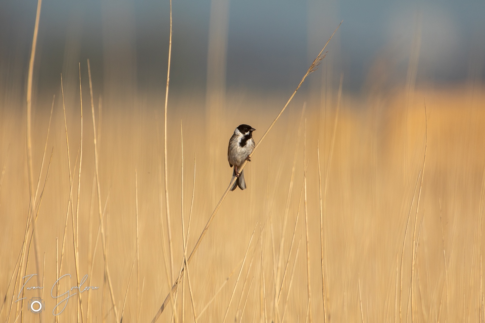 14 april 2022 094357  5D46029